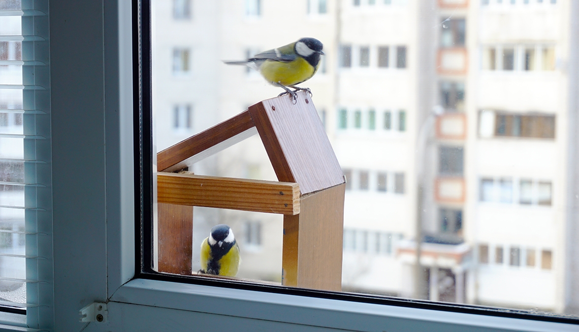 Two birds sit on a bird house outside a window of a highrise home.